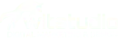 WITSTUDIO Digital Marketing & Design
